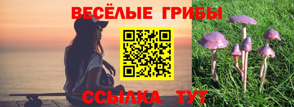 Галлюциногенные грибы ЛСД  Вход с VPN  Протвино 