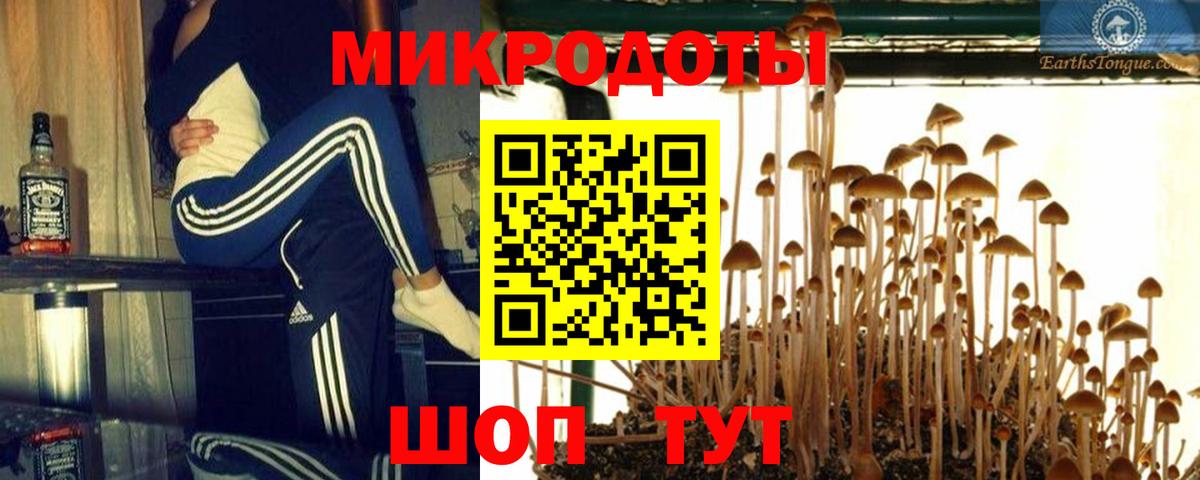Псилоцибиновые грибы мухоморы Протвино